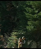 Sequoia_Captures_0621.jpg