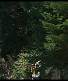 Sequoia_Captures_0623.jpg