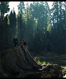 Sequoia_Captures_0639.jpg